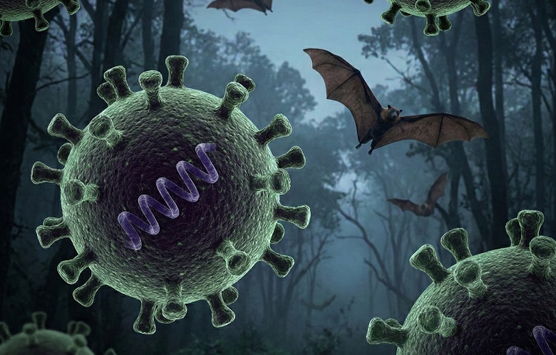 Virus Nipah Kembali Muncul di India, Warga Diminta Waspada